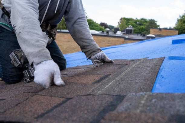 Best Roofing for New Construction  in Goodwater, AL